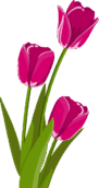 0603e1d9-b56c-91x172.png