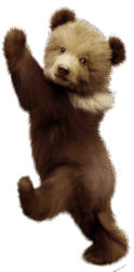 0603e1h0-1b9a-124x251.png