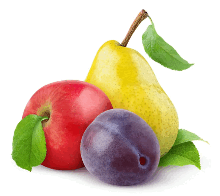 0603e24c-609a-433x386.png