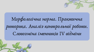 Презентація "Морфологічна норма. Практична риторика. Аналіз контрольної роботи. Словозміна іменників ІV відміни"