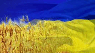 Моніторинг  10 клас