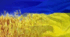 Моніторинг  10 клас