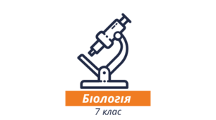 Презентація "Молюски:різноманіття, роль і значення в екосистемах та житті людини"
