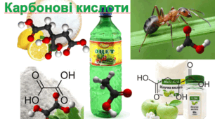 27. Карбонові кислоти. 10 клас.