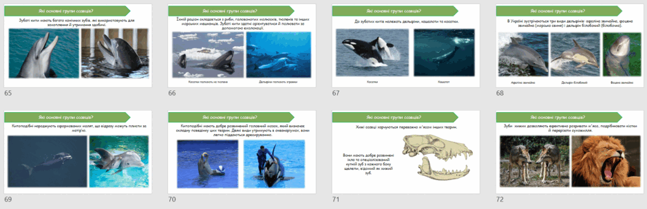 0603e4ji-8b86-940x304.png