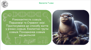 Презентація, конспект уроку та робочі аркуші на тему "Різноманітність ссавців. Першозвірі та Справжні звірі. Пристосування до способу життя у різних ссавців. Екологічні групи ссавців Походження ссавців від рептилій". 7 клас НУШ