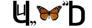 0603e4oz-12f0-300x91.png