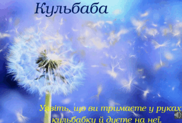 0603e5fg-5254-362x246.png