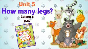 Презентація для 2 класу до 5 уроку "Unit 5. HOW MANY LEGS?" с.67 (до підручника О.Карп'юк)