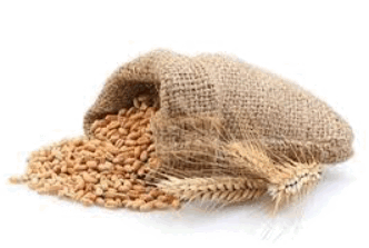 0603e8wj-3d09-332x223.png