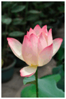 0603eb5u-297c-212x315.png