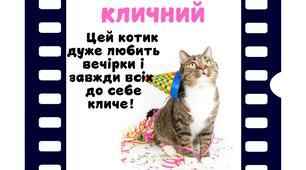 Вчимо відмінки разом з котиками!