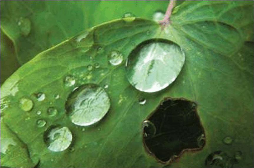 0603ebxz-4418-863x573.png