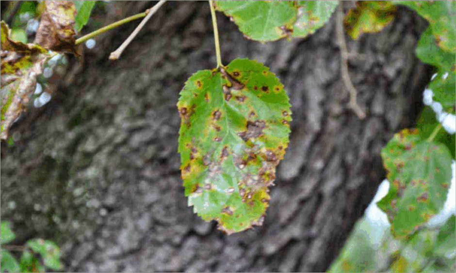 0603ec0i-6900-940x564.png