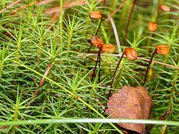 0603eck5-9143-260x195.jpg