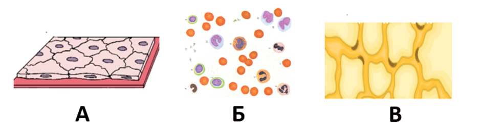 0603efko-c884-940x261.png