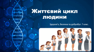 Презентація "Життєвий цикл людини" 7 клас