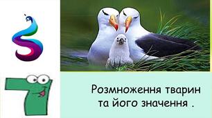 Типи розмноження тварин. Способи запліднення (зовнішнє та внутрішнє). Типи розвитку (прямий та непрямий). Лабораторне дослідження  «Дослідження внутрішньої будови яйця птахів - тварин з прямим типом розвитку (на прикладі яєць свійських птахів)» ГР.1