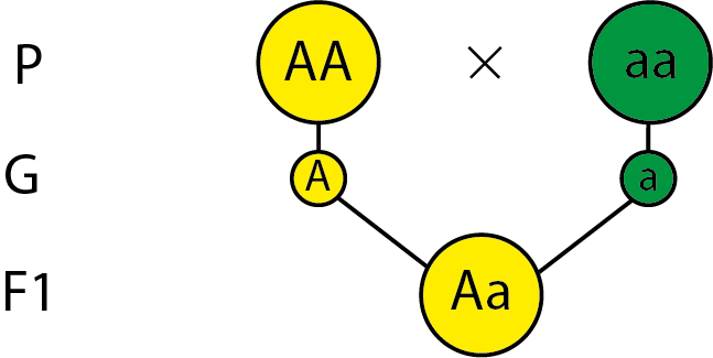 0603em0e-9c10-647x325.png