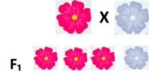 0603epxd-6b17-216x121.png