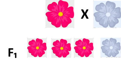 0603epxd-6b17-216x121.png