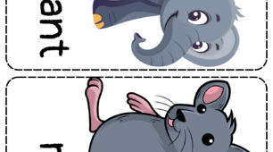 Flashcards Unit 4 "Pet show" Quick Minds 1