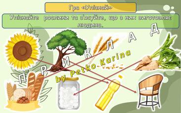 0603ew1s-6a5a-366x229.jpg