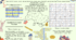 Буклет з завданнями до Дня Соборності України