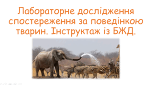 Лабораторне дослідження спостереження за поведінкою тварин