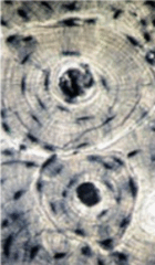 0603ewx9-40b0-140x240.png