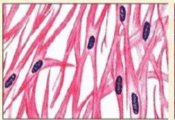 0603ewxn-ae53-175x120.png