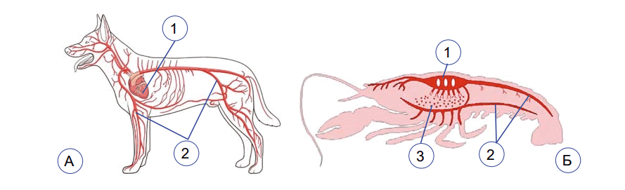 0603ex0l-5e5c-889x271.png