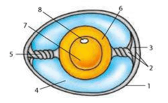 0603ex97-1706-336x206.png