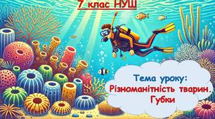 Презентація з біології: Різноманітність тварин.  Губки. 7 клас НУШ.