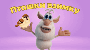 Відео руханка