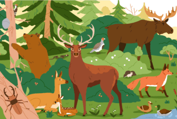 0603f2id-99f4-357x240.png