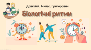 Біологічні ритми