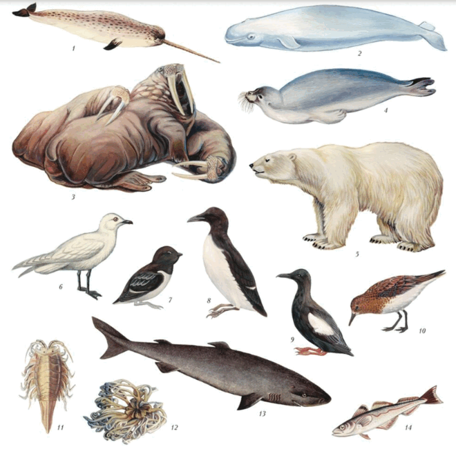 0603f9z7-f413-660x667.png