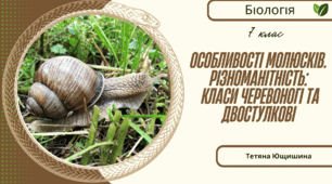 Особливості молюсків. Різноманітність: класи Черевоногі та Двостулкові. 7 клас. НУШ