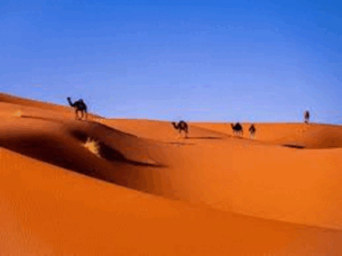 0603fbgf-9b59-379x284.png