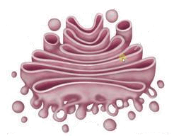 0603fcay-6c58-246x192.png