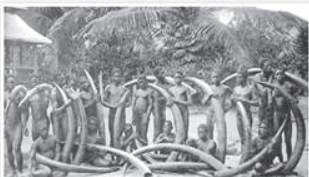 0603fegb-ef92-546x312.png
