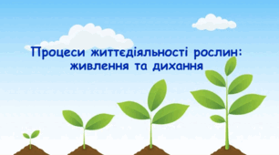 Процеси життєдіяльності рослин: живлення та дихання