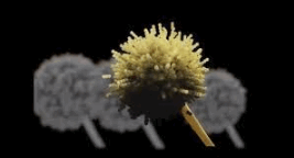 0603fi4o-3f09-267x144.png