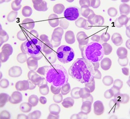 0603fj8y-0cd1-260x237.png