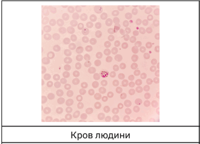 0603fjem-7692-489x353.png