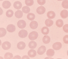 0603fjhq-e135-272x235.png