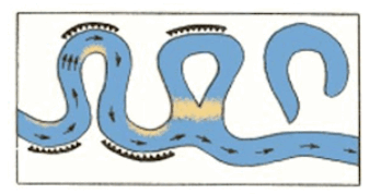 0603fkt8-4859-348x178.png