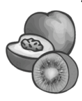 0603fne9-538d-168x206.png