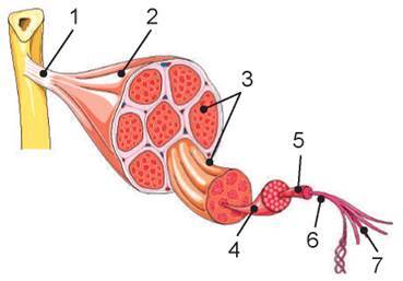 0603fnqh-0d65-369x257.jpg